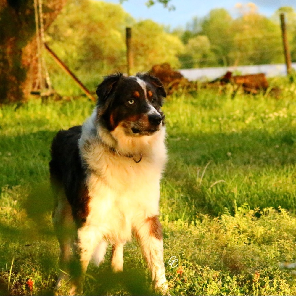 Meet your Posher, Chloe